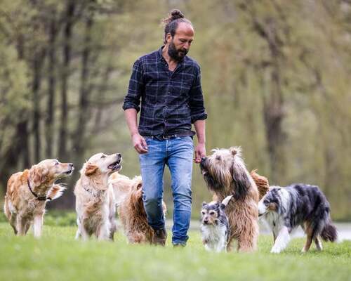Sami El Ayachi - Der zugewandte Hund!